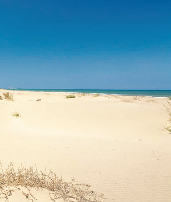 Moroccan Beaches