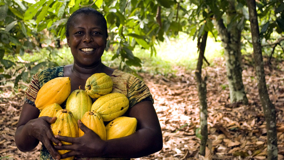 RMG Concept: Un Acteur Clé du Secteur de l’Agriculture et de l’Agrobusiness en Afrique de l’Ouest
