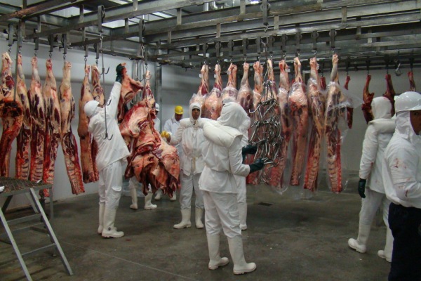 meat industry Rondonia