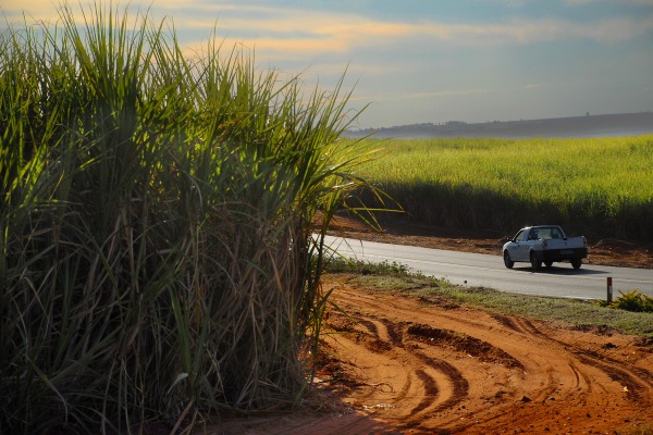 brazilian ethanol industry