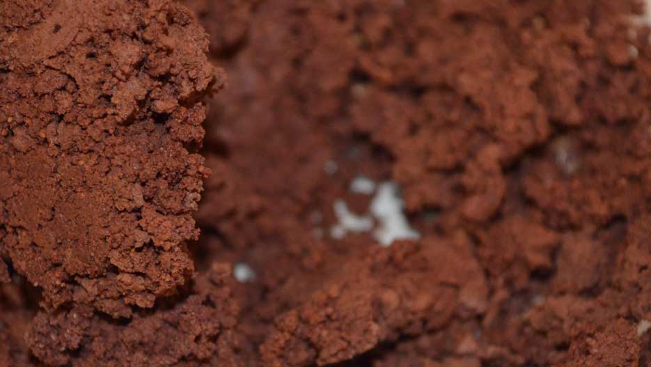 Ivory Cocoa Products : Tourteau de cacao