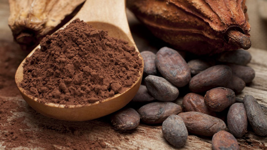 Ecookim est issue de l’union de plusieurs coopératives leaders de la filière café-cacao