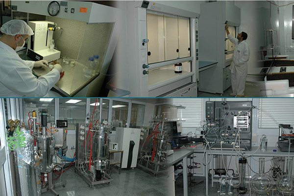 Quality policy of the leading pharmaceutical company in Egypt EIPICO.jpg