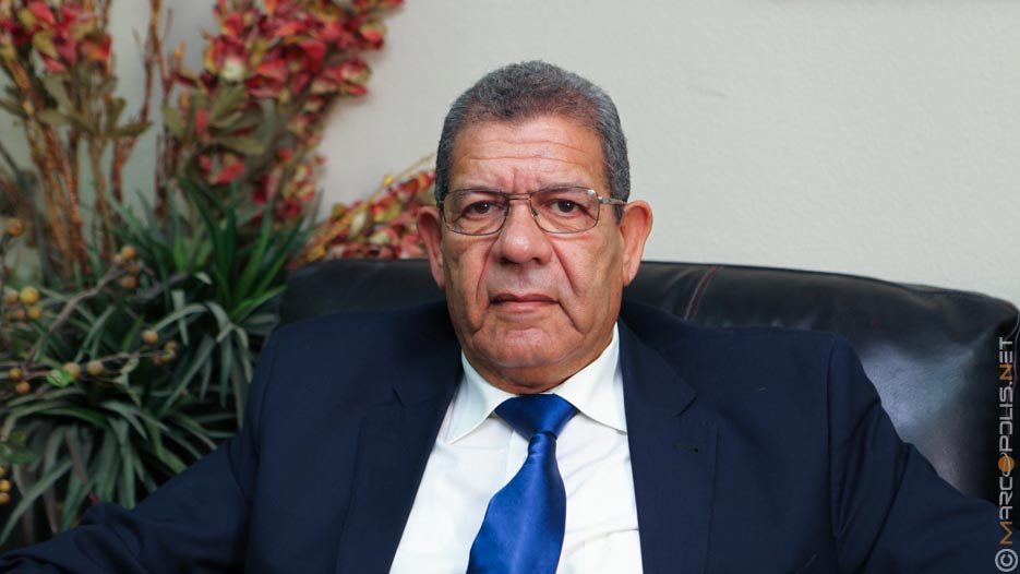 Adel Allam, President of Youssef Allam Group