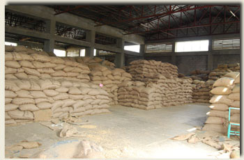 Aleta Land Coffee storage facilities