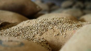 Ethiopia-export-commodities-Coffee-gold-and-fluctuating-prices