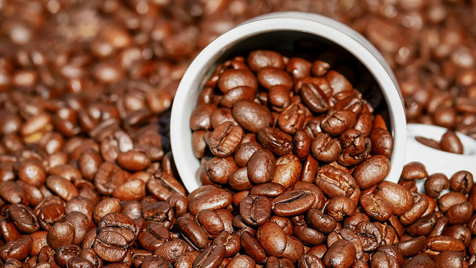 Zebad Coffee is Looking for Investors to Help Transform the Ethiopian Coffee Sector