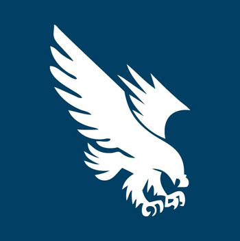 Falcon Group Iraq: Logo