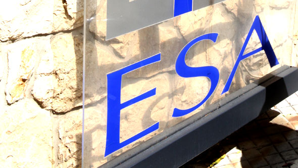 Major Challenges at Ecole Superieure des Affaires (ESA)