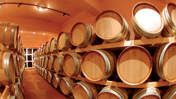 Lebanon: The Art of Winemaking
