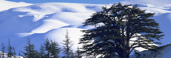 Lebanon Mountains