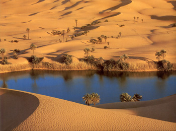 Desert oasis, Libya