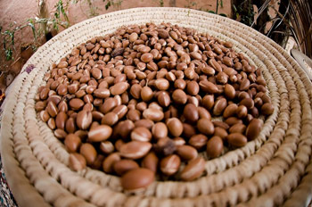 Credit Agricole du Maroc Nuts