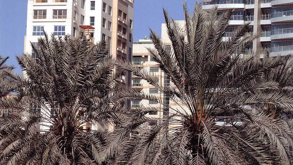 Housing Projects in Saudi Arabia: SATCO's Project in Taima