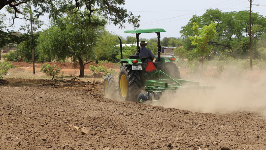 Stephen Debre, Consultant at Ghana Agribusiness Center