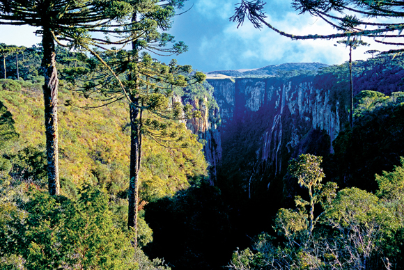 canion Santa Catarina