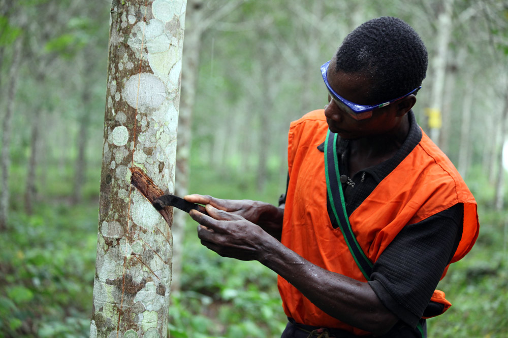 Rubber Côte d'Ivoire