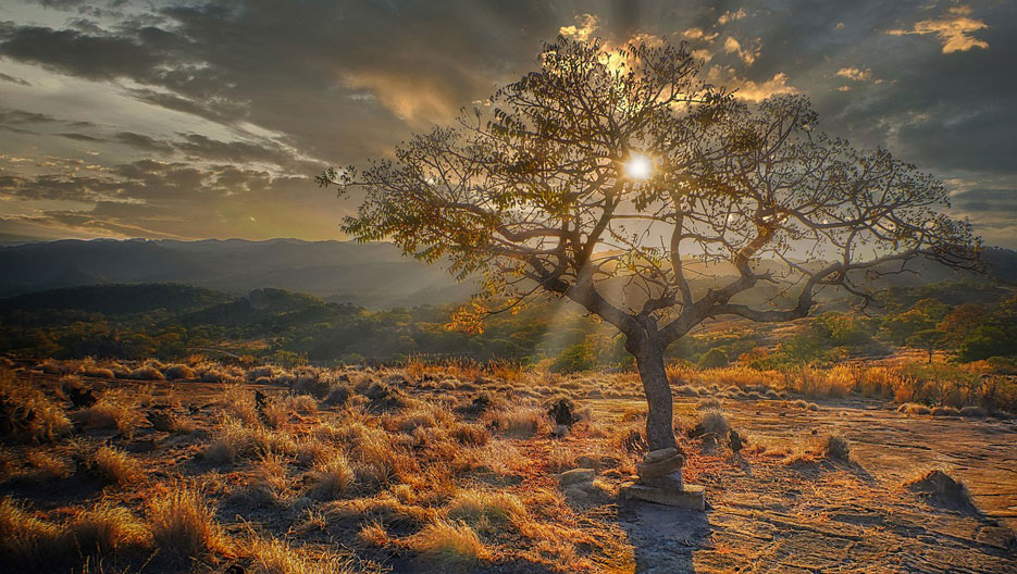 Unlocking the Wonders of Southern Africa: A Comprehensive Guide to Tourism in Zimbabwe